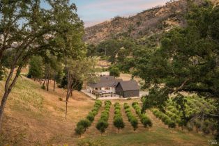 Single Family Residence, Wragg Canyon road, Napa, CA 94558 - 61