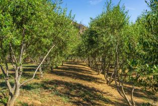 Single Family Residence, Wragg Canyon road, Napa, CA 94558 - 51