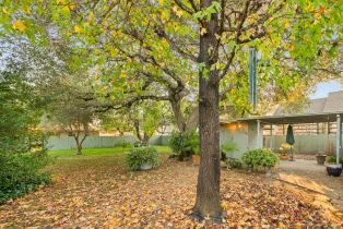 Single Family Residence,  Park avenue, Napa, CA 94558 - 50