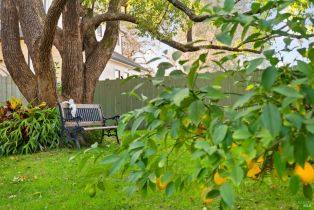 Single Family Residence,  Park avenue, Napa, CA 94558 - 83