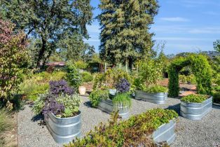 Single Family Residence,  Trinity road, Glen Ellen, CA 95442 - 24