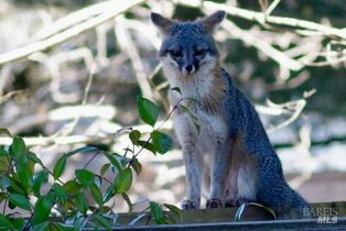 Single Family Residence,  Lakewood drive, Windsor, CA 95492 - 14