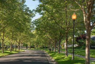 Single Family Residence,  Lakewood drive, Windsor, CA 95492 - 51