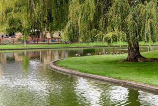 Single Family Residence,  Lakewood drive, Windsor, CA 95492 - 41