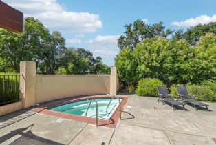 Condominium,  La Quinta lane, Sonoma, CA 95476 - 51