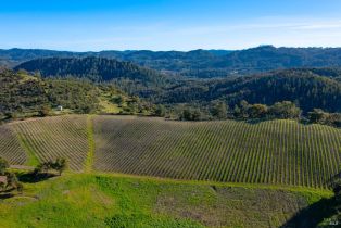 Agriculture,  Hwy 128 none, Calistoga, CA 94515 - 18