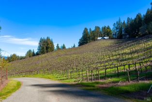 Agriculture,  Hwy 128 none, Calistoga, CA 94515 - 11