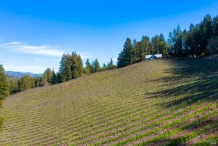 Agriculture,  Hwy 128 none, Calistoga, CA 94515 - 10