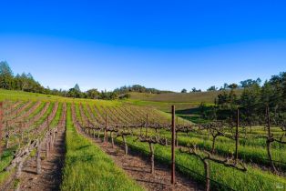 Agriculture,  Hwy 128 none, Calistoga, CA 94515 - 25