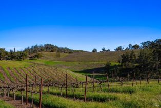 Agriculture,  Hwy 128 none, Calistoga, CA 94515 - 27