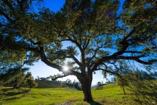 Agriculture,  Hwy 128 none, Calistoga, CA 94515 - 28