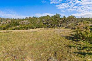 Residential Lot,  Ninive drive, Jenner, CA 95450 - 10