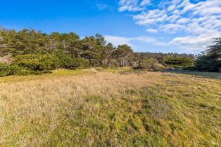 Residential Lot,  Ninive drive, Jenner, CA 95450 - 9