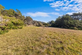Residential Lot,  Ninive drive, Jenner, CA 95450 - 8