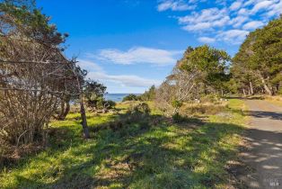Residential Lot,  Ninive drive, Jenner, CA 95450 - 4