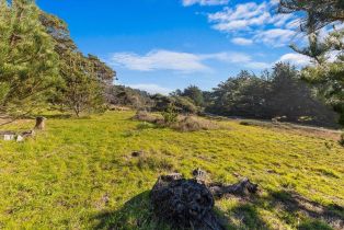 Residential Lot,  Ninive drive, Jenner, CA 95450 - 7