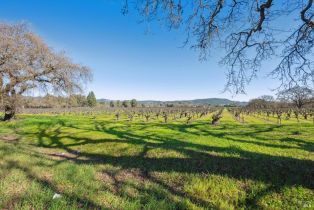 Single Family Residence, Engler street, Sonoma, CA 95476 - 70