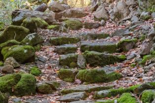 Single Family Residence, Canyon road, Sonoma, CA 95476 - 33