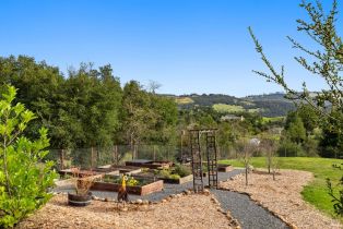 Single Family Residence,  Old Vineyard lane, Santa Rosa, CA 95404 - 42