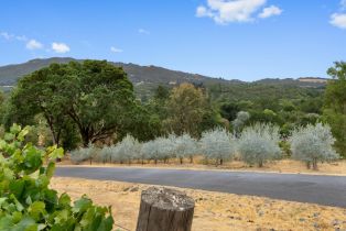 Single Family Residence,  Warm Springs road, Glen Ellen, CA 95442 - 32