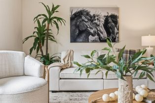 Single Family Residence,  Sherwood court, Santa Rosa, CA 95405 - 7