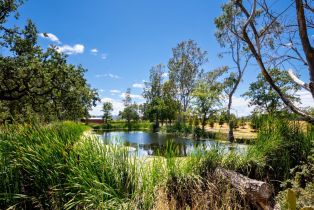 Agriculture,  8th street, Sonoma, CA 95476 - 21