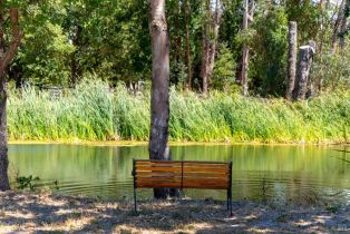 Agriculture,  8th street, Sonoma, CA 95476 - 7