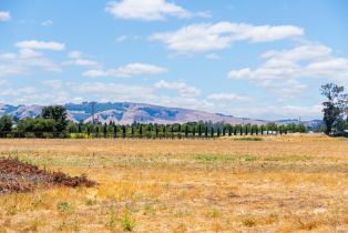 Agriculture,  8th street, Sonoma, CA 95476 - 27