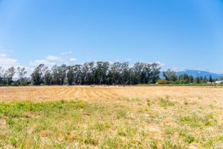 Agriculture,  8th street, Sonoma, CA 95476 - 2