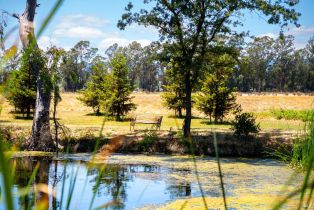 Agriculture,  8th street, Sonoma, CA 95476 - 23