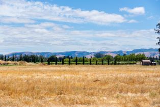 Agriculture,  8th street, Sonoma, CA 95476 - 29