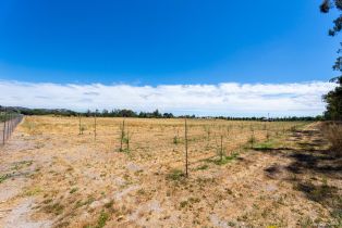 Agriculture,  8th street, Sonoma, CA 95476 - 32