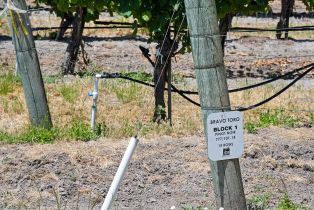 Agriculture,  Bravo Toro lane, Santa Rosa, CA 95401 - 22