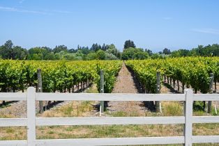 Agriculture,  Bravo Toro lane, Santa Rosa, CA 95401 - 2