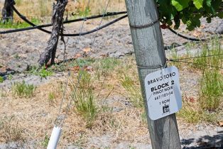 Agriculture,  Bravo Toro lane, Santa Rosa, CA 95401 - 23