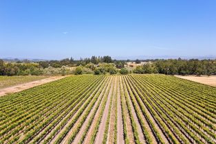 Agriculture,  Bravo Toro lane, Santa Rosa, CA 95401 - 20