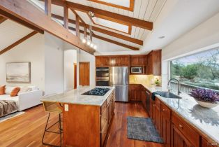 Single Family Residence,  Park Vista court, Santa Rosa, CA 95405 - 23