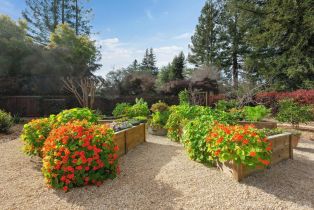 Single Family Residence,  Apple Tree court, Sonoma, CA 95476 - 40