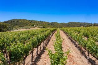 Single Family Residence,  Dry Creek road, Napa, CA 94558 - 11