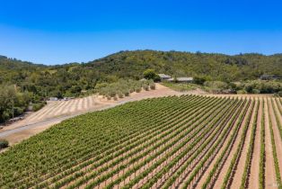 Single Family Residence,  Dry Creek road, Napa, CA 94558 - 10