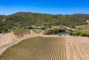 Single Family Residence,  Dry Creek road, Napa, CA 94558 - 14