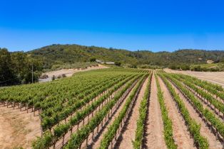 Single Family Residence,  Dry Creek road, Napa, CA 94558 - 12