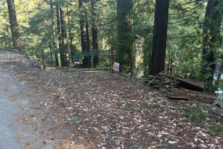 Single Family Residence,  Cazadero highway, Russian River, CA 95421 - 44