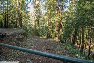 Single Family Residence,  Cazadero highway, Russian River, CA 95421 - 46