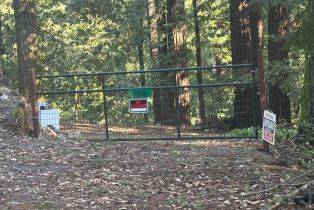 Single Family Residence,  Cazadero highway, Russian River, CA 95421 - 43