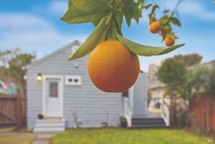 Single Family Residence,  Charles street, Santa Rosa, CA 95404 - 28