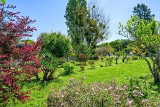 Single Family Residence,  Sexton road, Sebastopol, CA 95472 - 53
