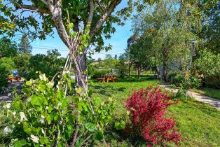 Single Family Residence,  Sexton road, Sebastopol, CA 95472 - 49