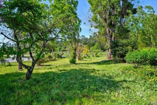 Single Family Residence,  Sexton road, Sebastopol, CA 95472 - 50