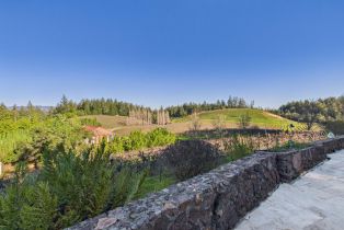 Single Family Residence,  Dry Creek road, Healdsburg, CA 95448 - 6